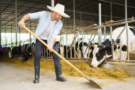 Portrait of Middle East Asian male farming worker feeds a cows with a grass hay in dairy farm. Worker in modern livestock industry and agricultural farming concept.の写真素材