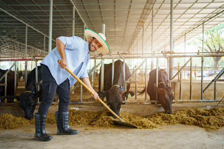 Portrait of Middle East Asian male farming worker feeds a cows with a grass hay in dairy farm. Worker in modern livestock industry and agricultural farming concept.の写真素材