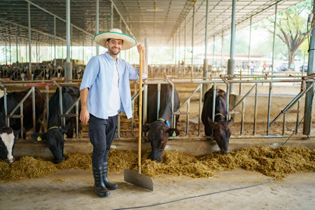 Portrait of Middle East Asian male farming worker feeds a cows with a grass hay in dairy farm. Worker in modern livestock industry and agricultural farming concept.の写真素材