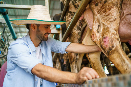 Farmer using an automatic milking machine collect a fresh milk from cows. A milk cow in modern livestock facility.の写真素材