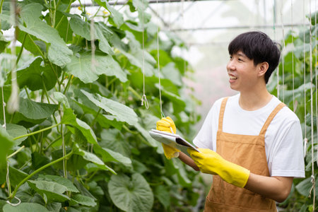 Happy cheerful Asian watermelon worker inspecting or analyzing an agricultural product quality. Asian male farmer check a quality of organic watermelon fruit in greenhouse.の写真素材