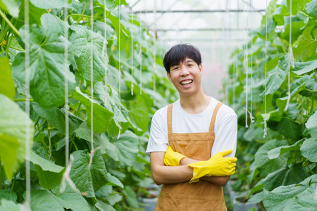 Happy cheerful Asian watermelon worker inspecting or analyzing an agricultural product quality. Asian male farmer check a quality of organic watermelon fruit in greenhouse.の写真素材