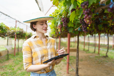 Portrait of beautiful caucasian white female vineyard farmer smiles and looks to camera, happy caucasian woman in vineyard crossed arms and looking at camera.の写真素材