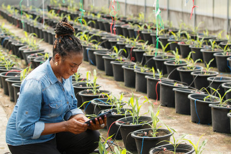 An African female agricultural researcher inspects crops inside a greenhouse while recording data on a tablet, showing dedication to plant science, sustainable farming, and agricultural development.の写真素材