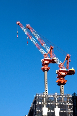 Craneの写真素材