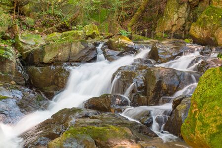 Water falls over a jumble of moss-covered boulders in forest.の写真素材