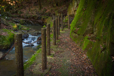 Walkway in forest feeling deserted with a little waterfallの写真素材