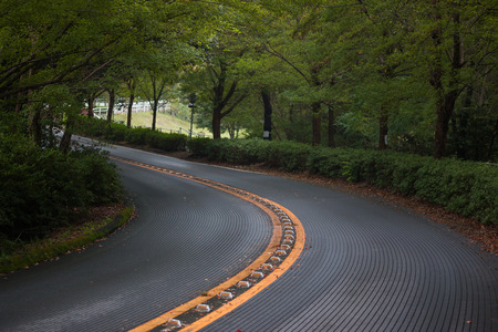 winding road in forest.の写真素材