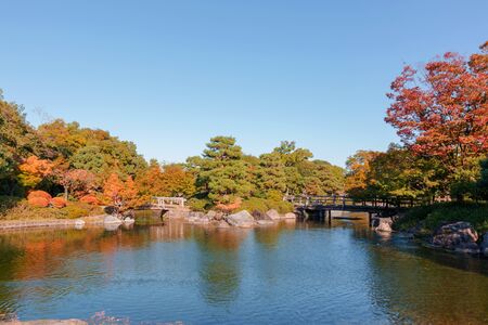 Japanese Garden in autumn  daylight.の写真素材