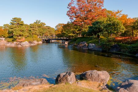 Japanese Garden in autumn  daylight.の写真素材