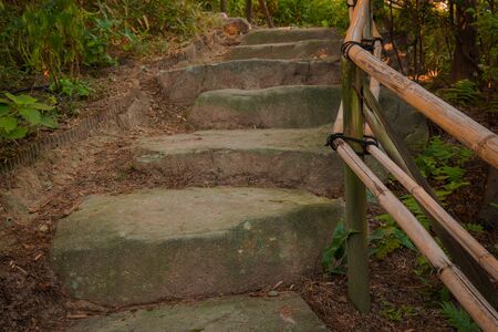 Stone stairs and bamboo grab bar in the wild.の写真素材