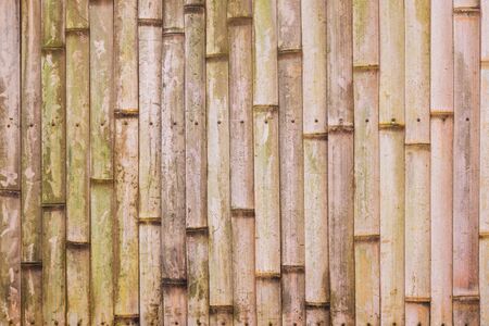 Old bamboo texture background.の写真素材