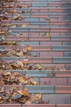 Stairs covered with autumn dry leaves.の写真素材