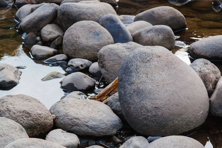 River Stones in forest.の写真素材