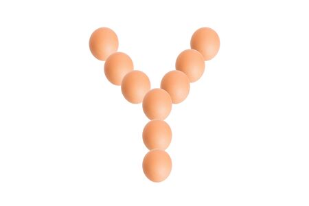 Y,Egg alphabet uppercase on white background.の写真素材
