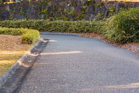 Walkway curve in the parkの写真素材