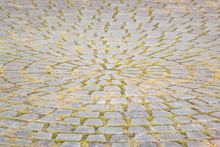 The fragment of a pavement in the form of a circle.の写真素材
