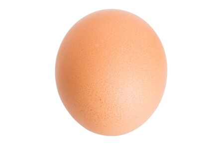 Single brown chicken egg isolated on white.の写真素材