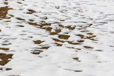 close up snow texture for the background. thawing snow.の写真素材