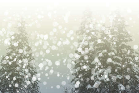 Beautiful winter landscape with snow covered trees, wonderful winter.の写真素材