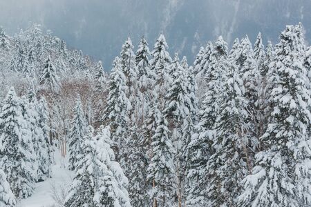 Beautiful winter landscape with snow covered trees, wonderful winter.の写真素材