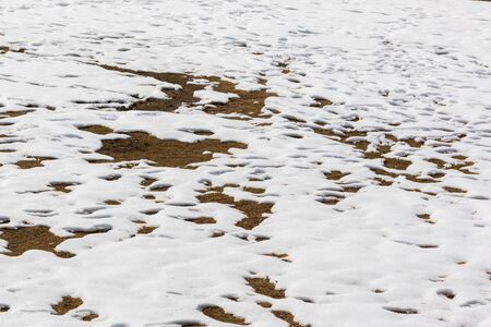 close up snow texture for the background. thawing snow.の写真素材
