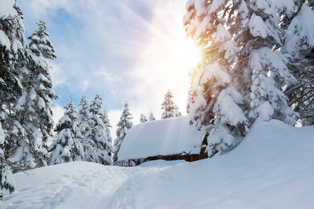 Beautiful winter landscape with snow covered trees and small hut in snowfall day.の写真素材