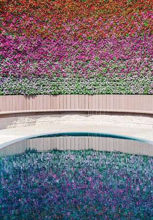 the wall of pansy flower with reflection in pond.の写真素材