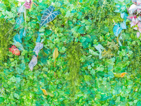 Green leaf artificial nature background.の写真素材