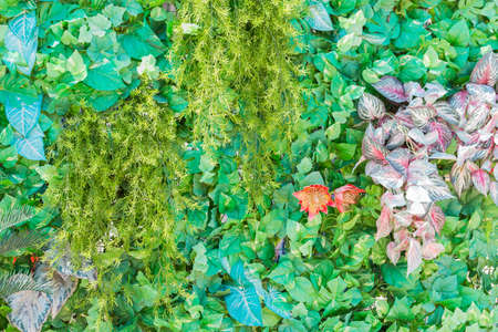 Green leaf artificial nature background.の写真素材
