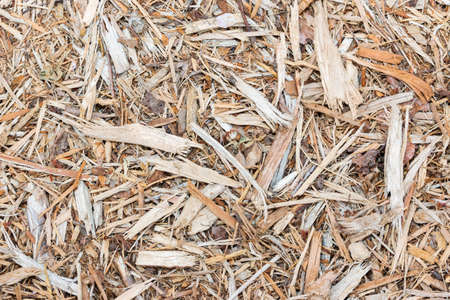 Wood chips for landscaping in the gardens. Ecological background.の写真素材
