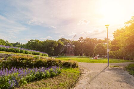 Park outdoor landscape with green grass in evening time.の写真素材