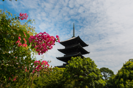 Toji temple located in Kyoto, Japan. Toji temple is a Buddhist temple of the Shingon sect in Kyoto, Japan.のeditorial素材