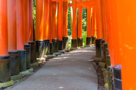 Torii leading to the outer shrine. Fushimi Inari Taisha is the head shrine of Inari, located in Fushimi-ku, Kyoto, Japan.のeditorial素材