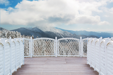 White balcony with perspective wood floor on nature background.の写真素材