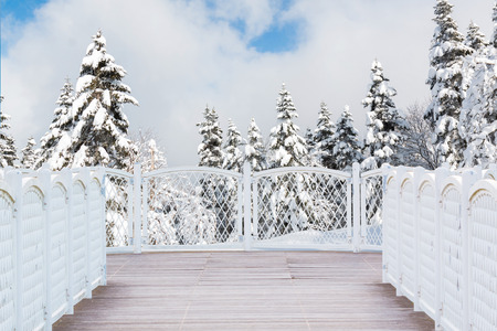 White balcony with perspective wood floor on nature background.の写真素材
