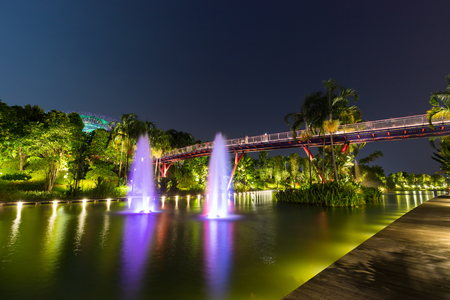 Beautiful night garden in singapore and supertree grove forest illuminated at night. Gardens by the bay, Singapore city.のeditorial素材