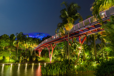 Beautiful night garden in singapore and supertree grove forest illuminated at night. Gardens by the bay, Singapore city.のeditorial素材