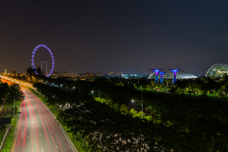 Beautiful night garden in singapore and supertree grove forest illuminated at night. Gardens by the bay, Singapore city.のeditorial素材