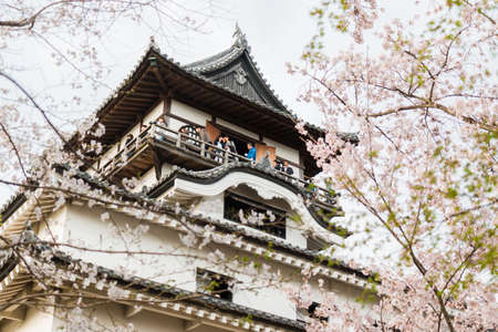 Inuyama, Japan - 2 April 2016: Inuyama castle historic building landmark in spring with beautiful cherry blossom. Tourist is enjoy viewing cherry blossoms.のeditorial素材