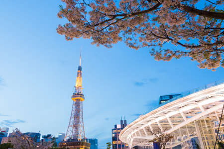 Nagoya tv tower in night with beautiful cherry blossom. Sakura in nagoya, Japan.のeditorial素材