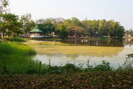 Waterfront pavillion over green lakeの写真素材