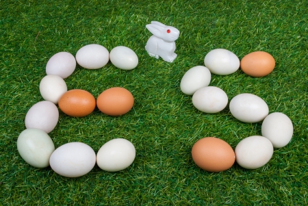 Easter Sunday or ES order by raw eggs.の写真素材