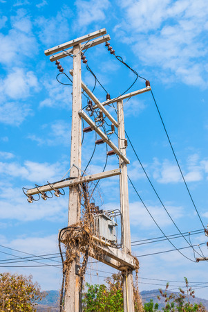 Electric Transformer on Concrete Tower with Dry Plantsの写真素材