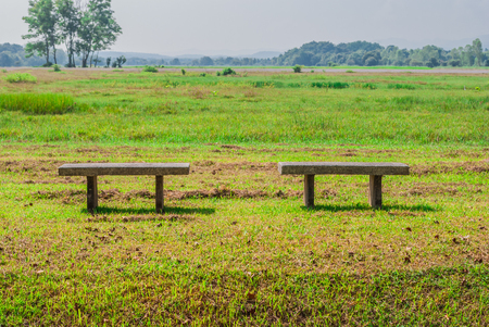 Two Concrete Benches on Green  Meadowの写真素材