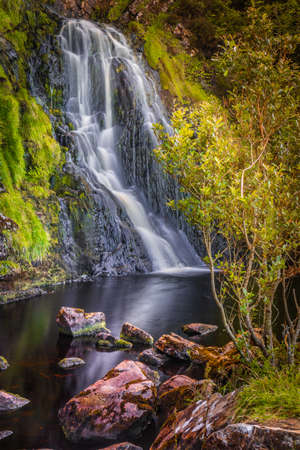 waterfall, moving water, leaning treeの写真素材