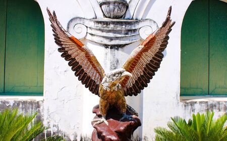 eagleの写真素材