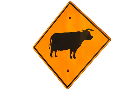 warning cow  traffic sign の写真素材