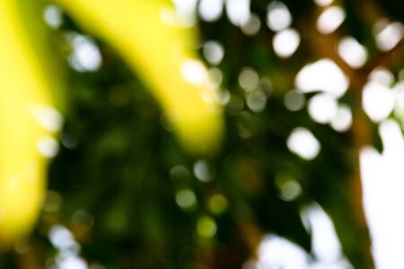 Blur image Background colorの写真素材