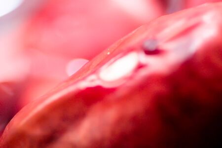 Red Beansの写真素材